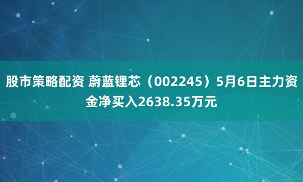 股市策略配资 蔚蓝锂芯（002245）5月6日主力资金净买入2638.35万元